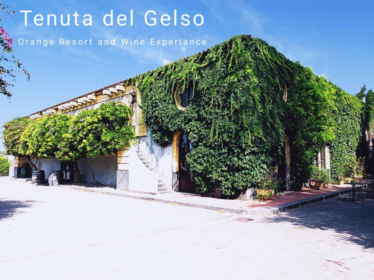 Tenuta Del Gelso คาตาเนีย ภายนอก รูปภาพ